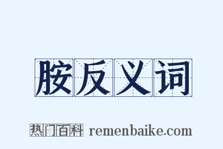 胺反义词是什么意思的图片